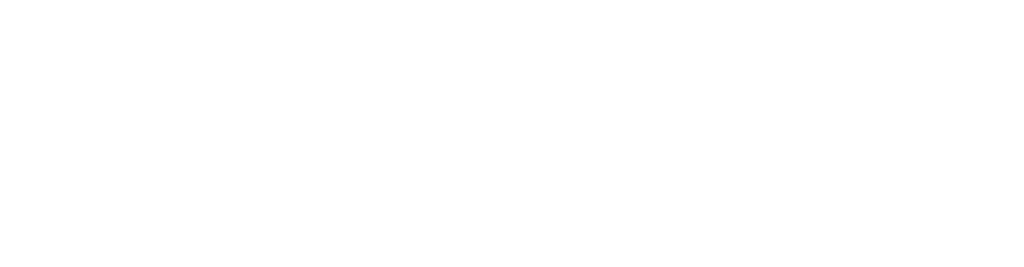 logo Paraty Tech
