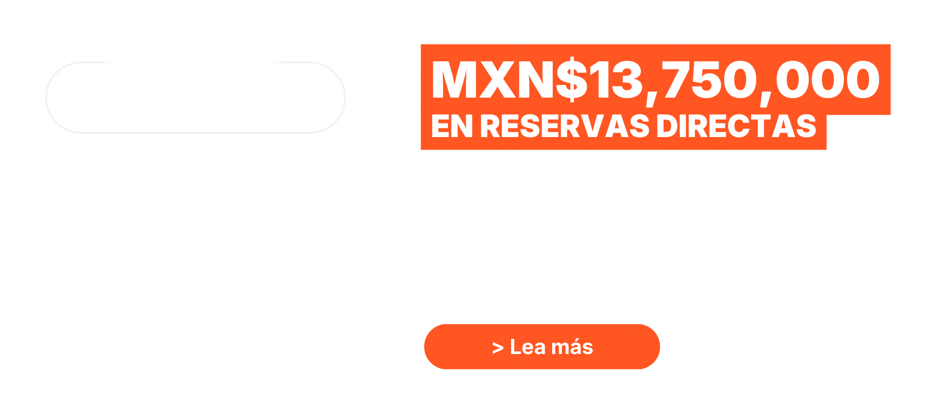caso de éxito caminoreal